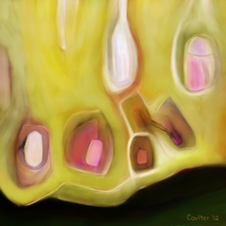 Singularities